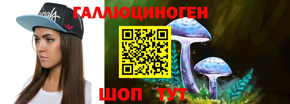 Псилоцибиновые грибы Cubensis Троицк